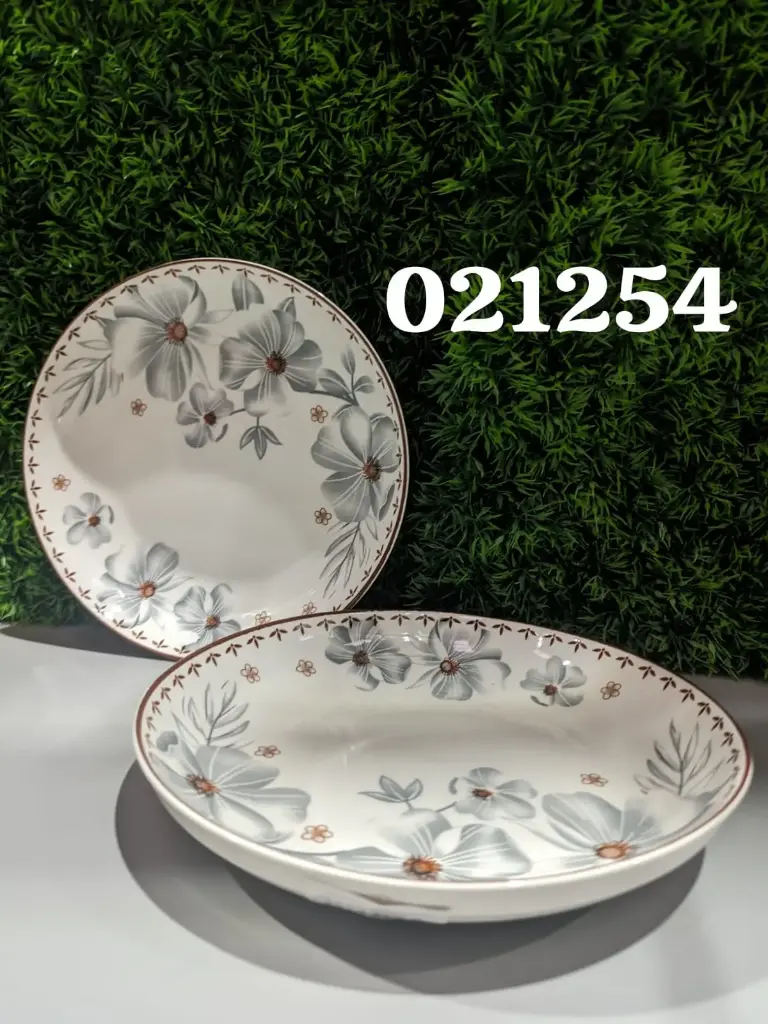 PLATO 8 1254