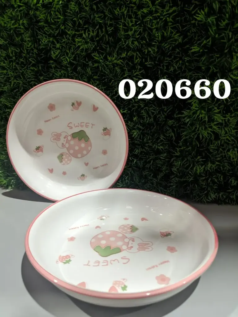 PLATO 8 20660
