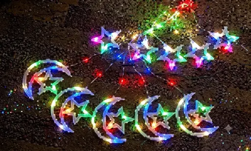 SERIE DE LUCES NAVIDEÑAS 1220224/1000001220224